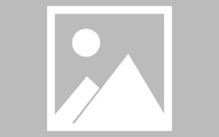 新疆网页设计英文默认字体（网页设置英文转换中文）